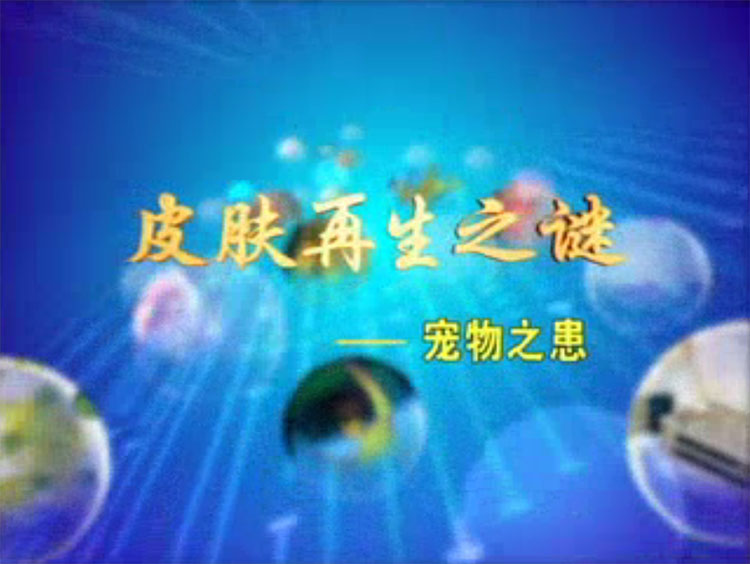 皮肤再生之谜--宠物之患