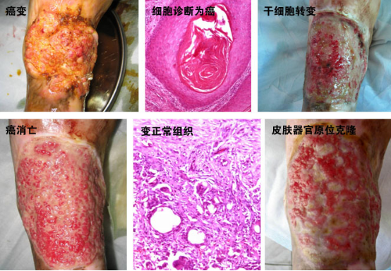 首页|bwin必赢亚洲集团中国官方网站