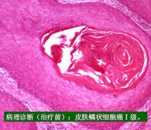首页|bwin必赢亚洲集团中国官方网站
