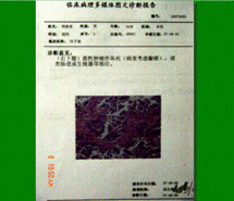 首页|bwin必赢亚洲集团中国官方网站