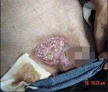 首页|bwin必赢亚洲集团中国官方网站