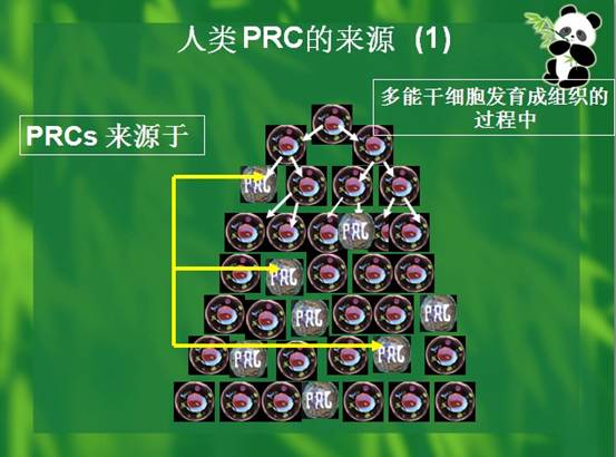 首页|bwin必赢亚洲集团中国官方网站