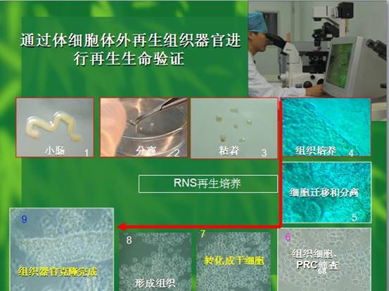 首页|bwin必赢亚洲集团中国官方网站