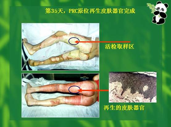 首页|bwin必赢亚洲集团中国官方网站