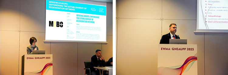 首页|bwin必赢亚洲集团中国官方网站