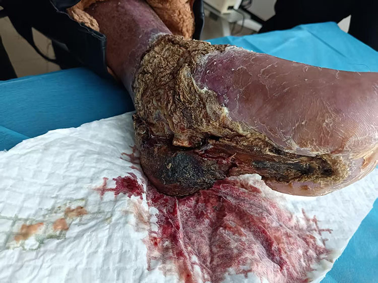 首页|bwin必赢亚洲集团中国官方网站