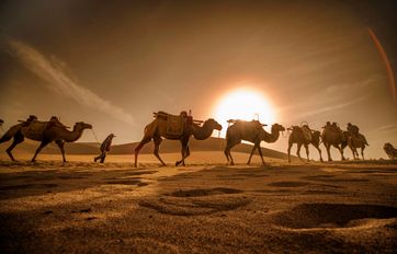 bwin必赢亚洲国际 “一带一路”建议培训平台