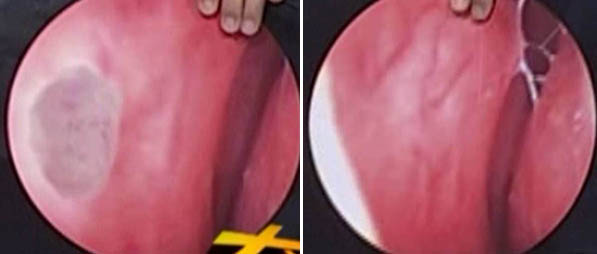 首页|bwin必赢亚洲集团中国官方网站