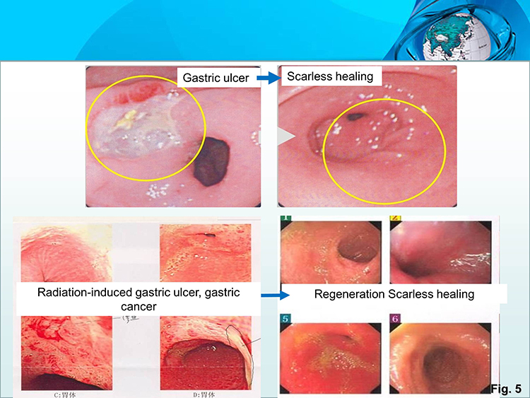 首页|bwin必赢亚洲集团中国官方网站