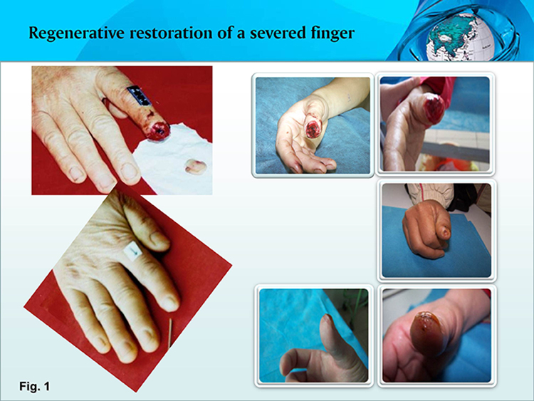 首页|bwin必赢亚洲集团中国官方网站