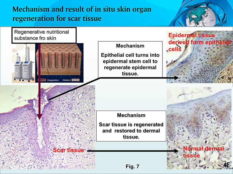 首页|bwin必赢亚洲集团中国官方网站