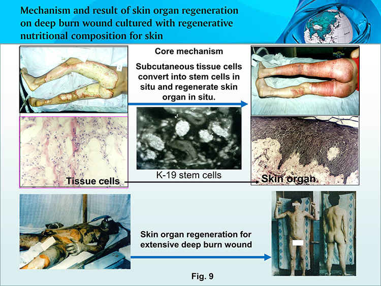 首页|bwin必赢亚洲集团中国官方网站