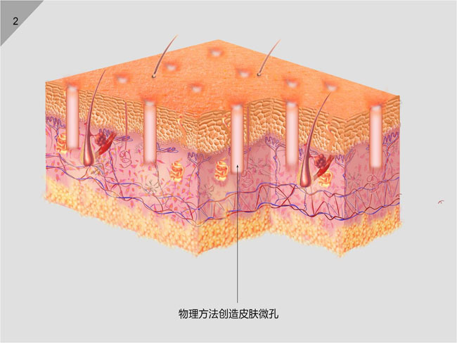 首页|bwin必赢亚洲集团中国官方网站
