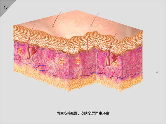 首页|bwin必赢亚洲集团中国官方网站