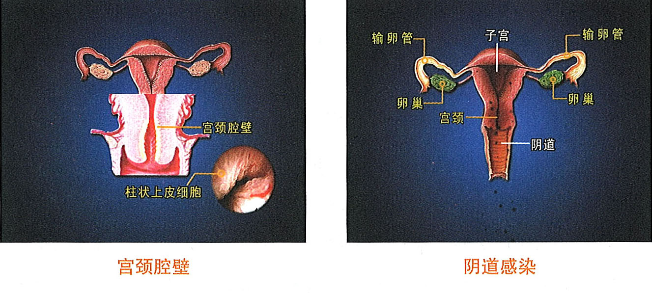 首页|bwin必赢亚洲集团中国官方网站