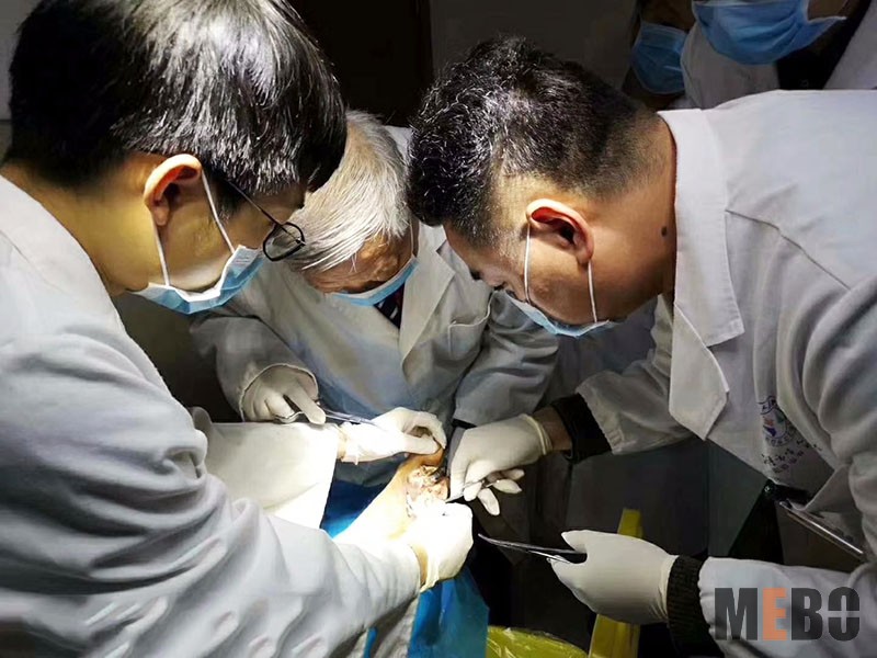 首页|bwin必赢亚洲集团中国官方网站