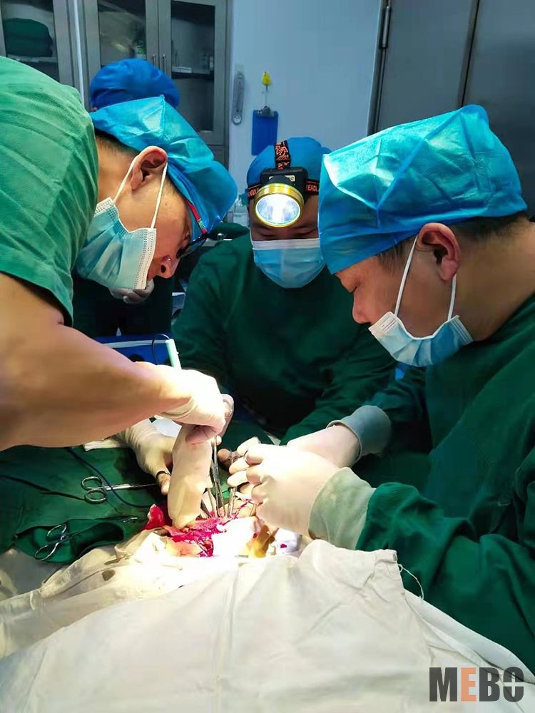 首页|bwin必赢亚洲集团中国官方网站