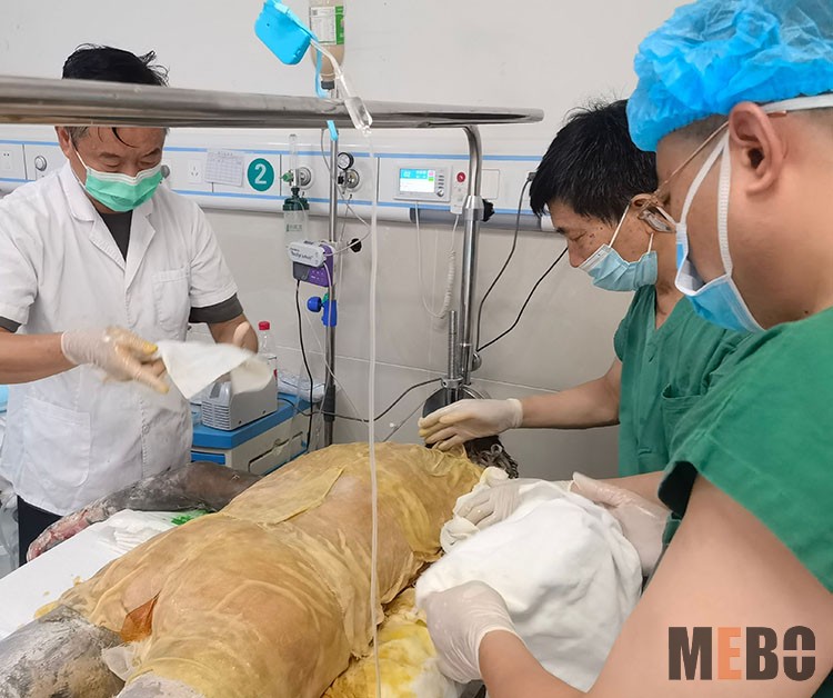 首页|bwin必赢亚洲集团中国官方网站