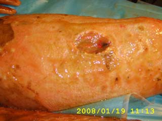 首页|bwin必赢亚洲集团中国官方网站