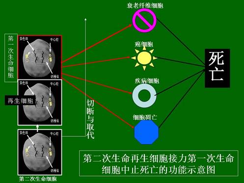 首页|bwin必赢亚洲集团中国官方网站
