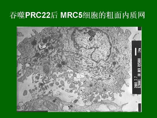 首页|bwin必赢亚洲集团中国官方网站