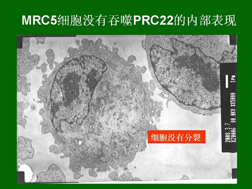 首页|bwin必赢亚洲集团中国官方网站