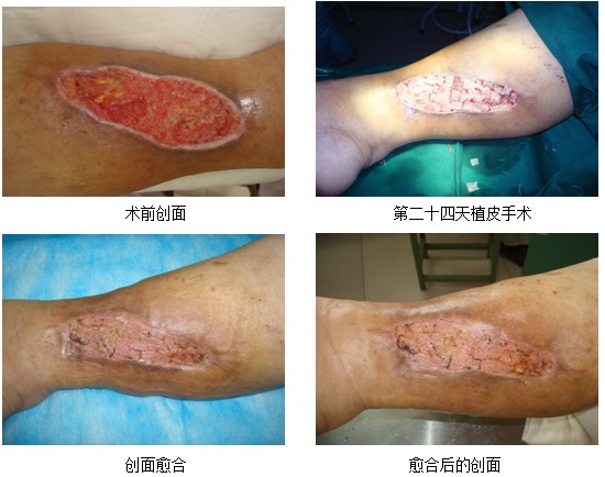 首页|bwin必赢亚洲集团中国官方网站