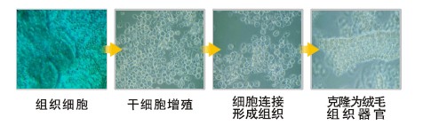 首页|bwin必赢亚洲集团中国官方网站