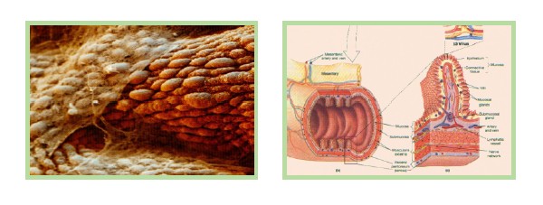 首页|bwin必赢亚洲集团中国官方网站