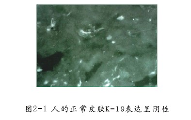 首页|bwin必赢亚洲集团中国官方网站