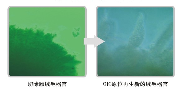 首页|bwin必赢亚洲集团中国官方网站