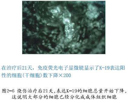 首页|bwin必赢亚洲集团中国官方网站