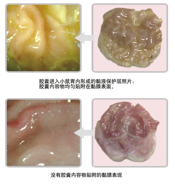 首页|bwin必赢亚洲集团中国官方网站
