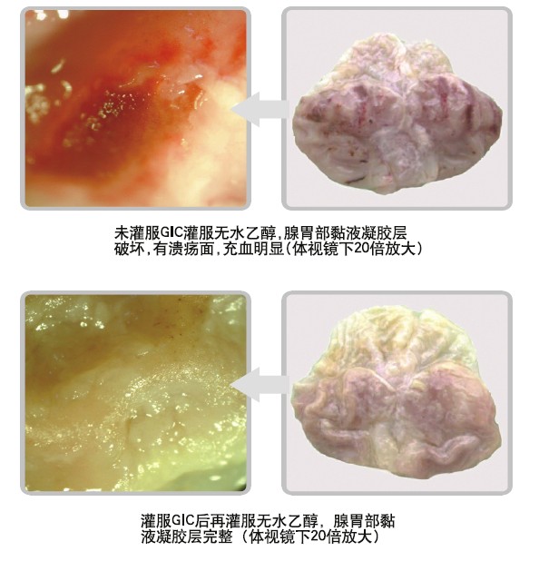 首页|bwin必赢亚洲集团中国官方网站