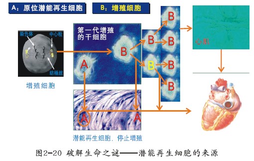 首页|bwin必赢亚洲集团中国官方网站