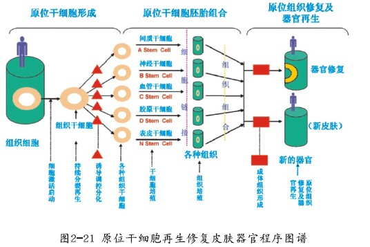 首页|bwin必赢亚洲集团中国官方网站