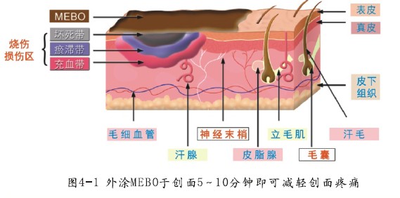 首页|bwin必赢亚洲集团中国官方网站