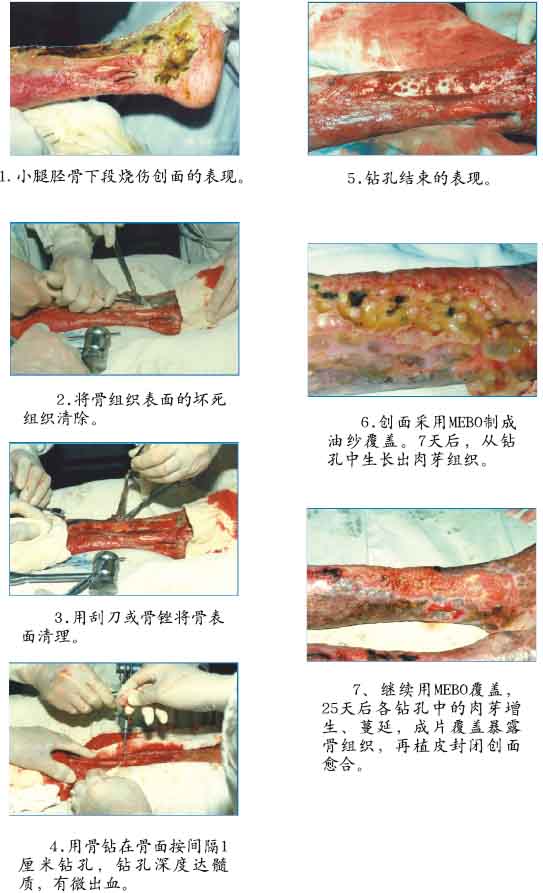 首页|bwin必赢亚洲集团中国官方网站