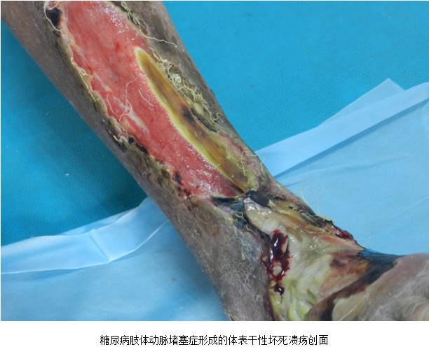 首页|bwin必赢亚洲集团中国官方网站