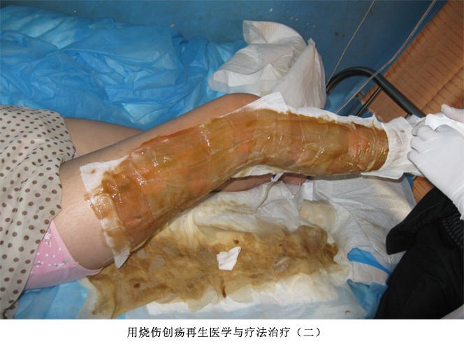 首页|bwin必赢亚洲集团中国官方网站