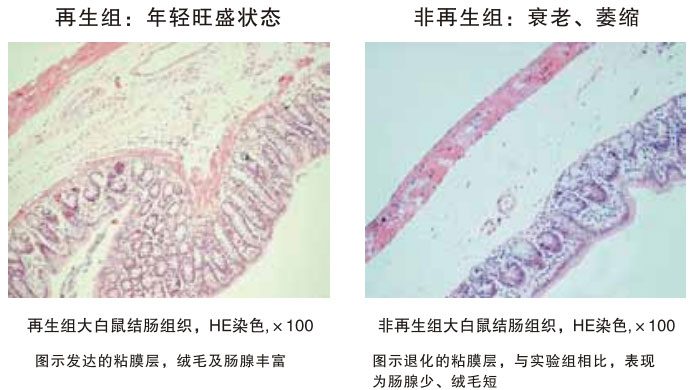 2011220114515277
