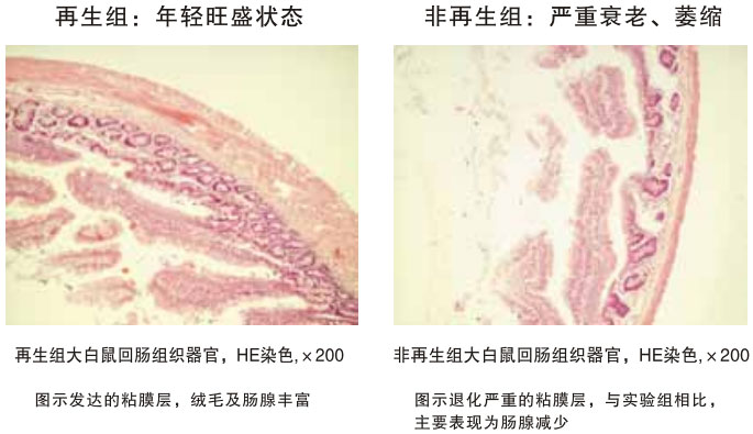 2011220114618435